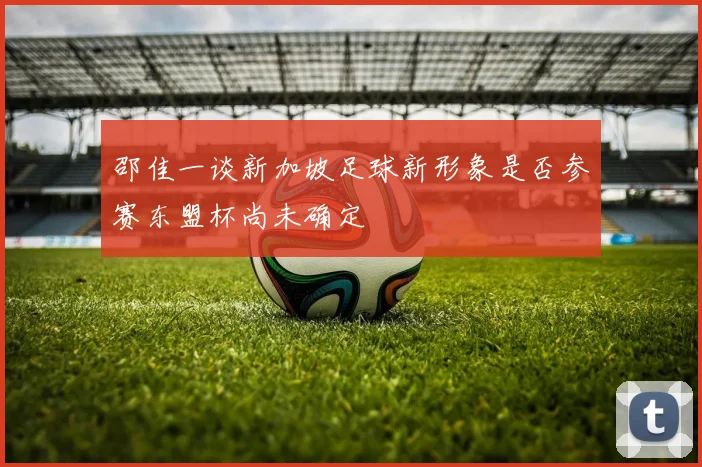 邵佳一谈新加坡足球新形象是否参赛东盟杯尚未确定